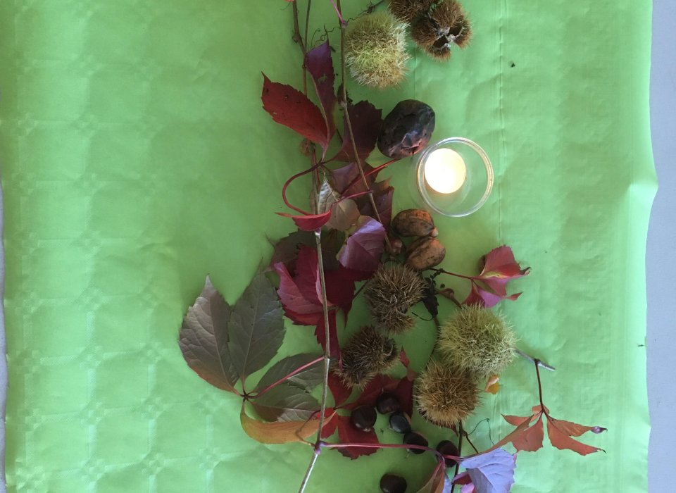 Un nouveau lieu du Secours Catholique et de partenaires, dont les Petits frères des pauvres La Baraque à Frat : un lieu d'accueil avec ses décorations naturelles